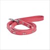 Laisse Summer Pour Chien Bobby