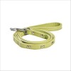 Laisse Summer Pour Chien Bobby