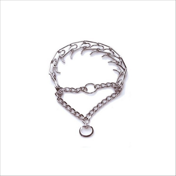 Collier Torquatus Pour Chien Bobby