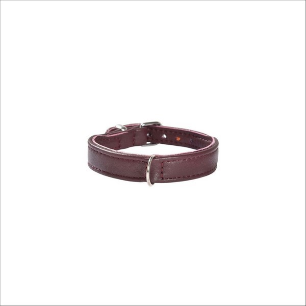 Collier Escapade Pour Chien Bobby