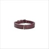 Collier Escapade Pour Chien Bobby