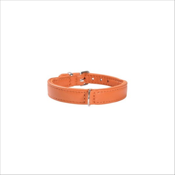 Collier Escapade Pour Chien Bobby