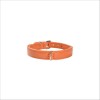 Collier Escapade Pour Chien Bobby