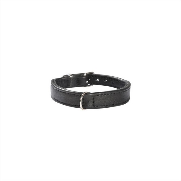 Collier Escapade Pour Chien Bobby