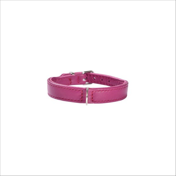 Collier Escapade Pour Chien Bobby