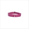 Collier Escapade Pour Chien Bobby