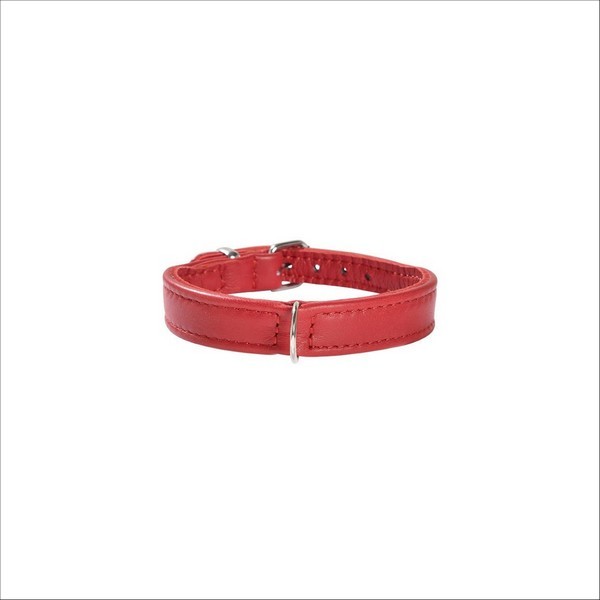 Collier Escapade Pour Chien Bobby