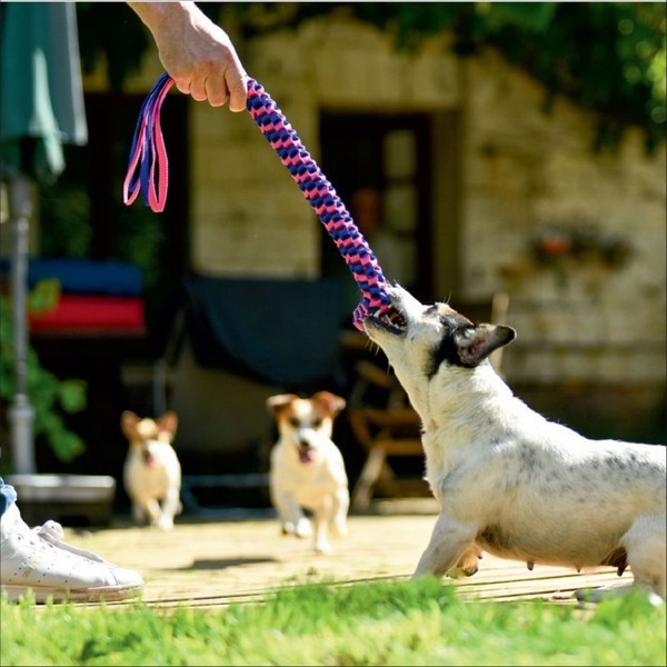 Jouet Pour Chien Scouby Bobby