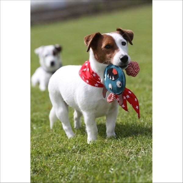 Jouet Pour Chien Les-P-Tits-Monstres Bobby