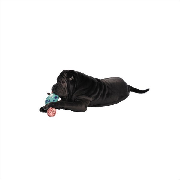 Jouet Pour Chien Les-P-Tits-Monstres Bobby
