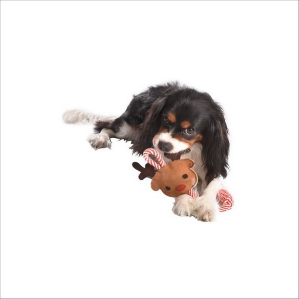 Jeux Pour Chien Renne Bobby