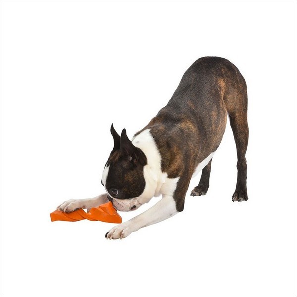 Jouet Pour Chien Twist Bobby