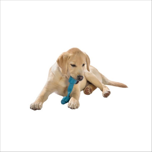 Jouet Pour Chien Rope Bobby