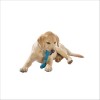 Jouet Pour Chien Rope Bobby