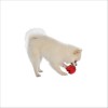Jouet Pour Chien Wave Bobby