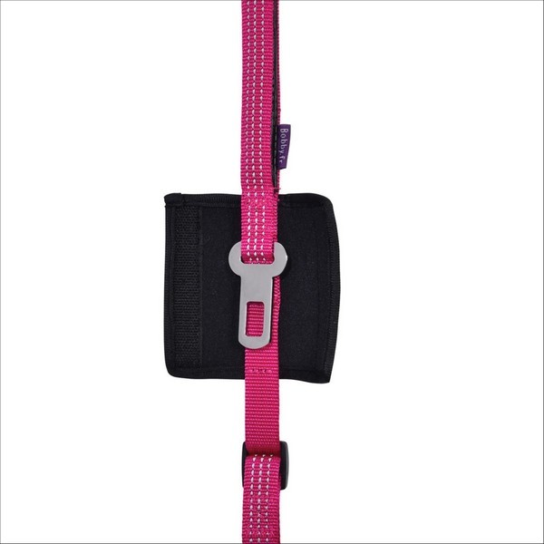 Laisse Car Pour Chien Bobby