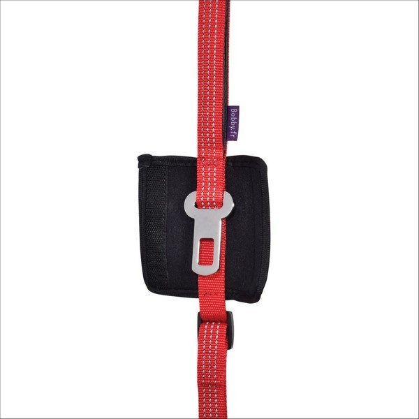 Laisse Car Pour Chien Bobby