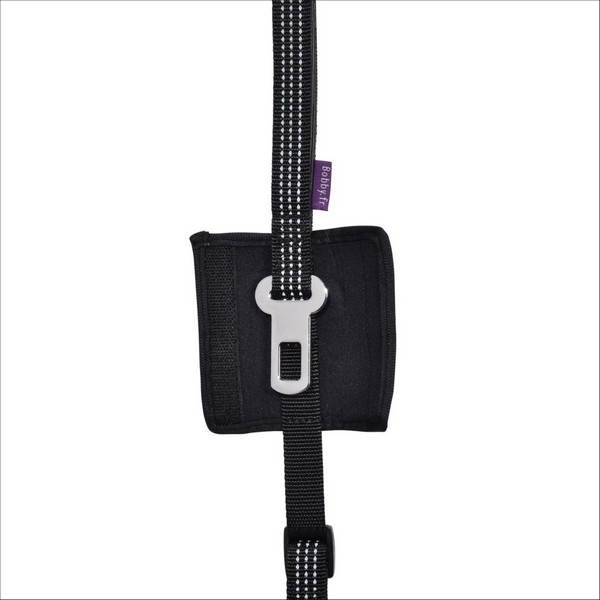 Laisse Car Pour Chien Bobby