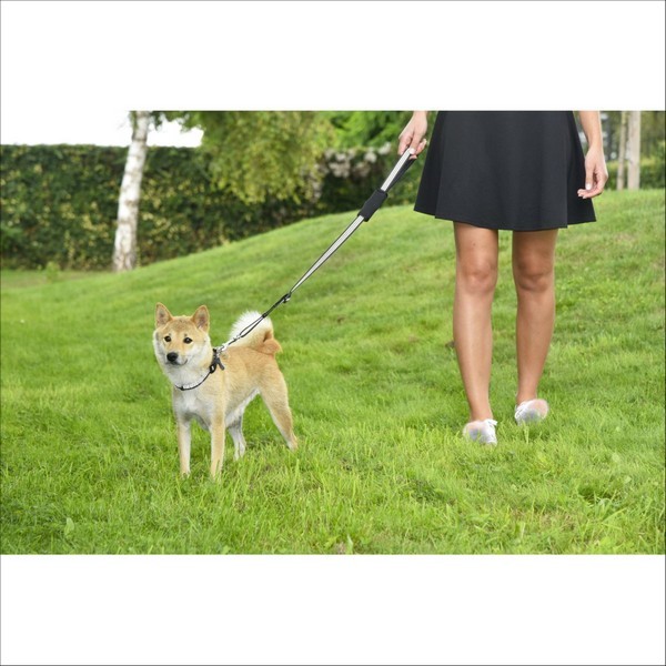 Laisse Car Pour Chien Bobby