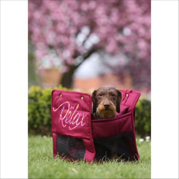 Sac De Transport Pour Chien Emilie Bobby