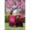 Sac De Transport Pour Chien Emilie Bobby