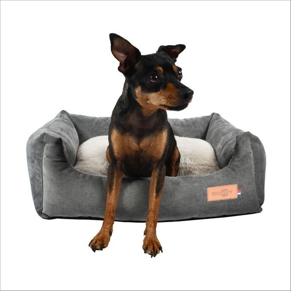 Corbeille Pour Chien Daryl Bobby