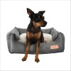 Corbeille Pour Chien Daryl Bobby