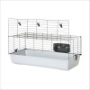 Cage Pour Grand Rongeur Lapin & Cochon D'Inde Ambiente