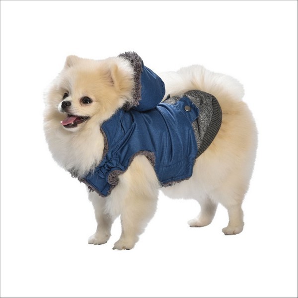 Manteau Pour Chien Lucky Bobby