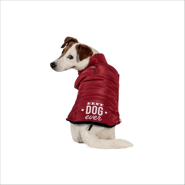 Manteau Pour Chien Best Bobby