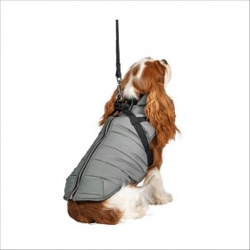 Manteau Pour Chien Fast Bobby