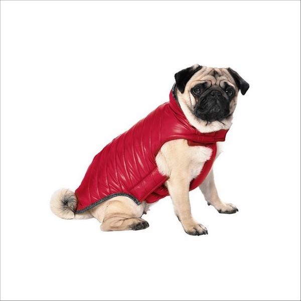Manteau Pour Chien Indy Bobby