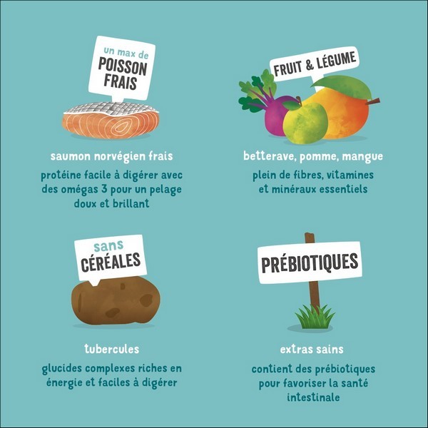 Edgard & Cooper Saumon Norvégien Frais Sans Céréales Hypoallergéniques Pour Chien Adulte