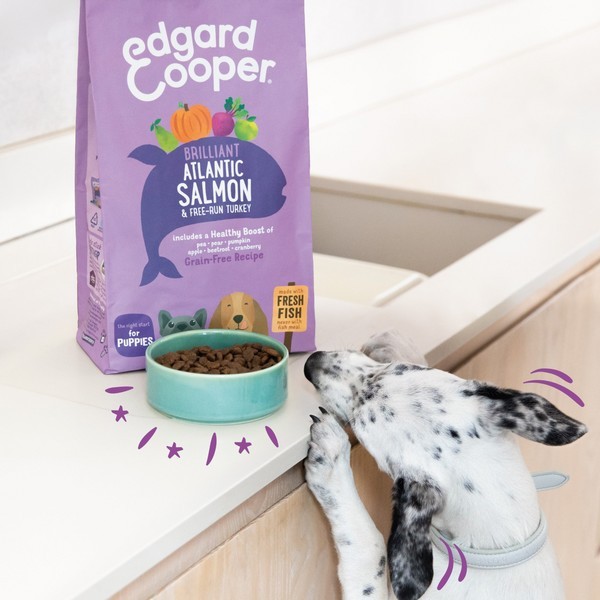 Edgard & Cooper Croquettes Naturelles Au Saumon Frais De l'Atlantique & Dinde Élevée En Plein Air Sans Céréales Pour Chiot