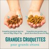 Edgard & Cooper Croquettes Naturelles Au Saumon Frais De l'Atlantique & Dinde Élevée En Plein Air Sans Céréales Pour Chiot