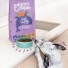Edgard & Cooper Croquettes Naturelles Au Saumon Frais De l'Atlantique & Dinde Élevée En Plein Air Sans Céréales Pour Chiot