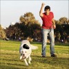 Jouet KONG Extrême Noir Pour Chien 5 Tailles - Ultra-Durable