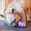 Jouet KONG Sénior Violet Pour Chien 3 Tailles - Ultra-Durable