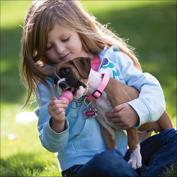 Jouet KONG Puppy Rose Ou Bleu Pour Chiot 4 Tailles - Ultra-Durable