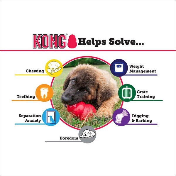 Jouet KONG Puppy Rose Ou Bleu Pour Chiot 4 Tailles - Ultra-Durable