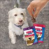 Friandises Pour Chien KONG Bites Au Poulet