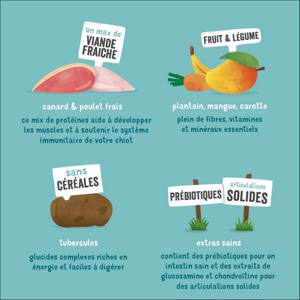 Edgard & Cooper Croquettes Au Canard & Poulet Frais Élevés En Plein Air Sans Céréales Pour Chiot