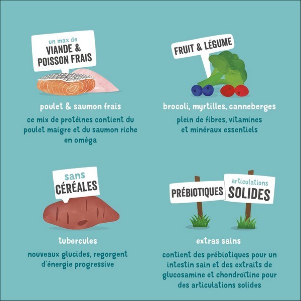 Edgard & Cooper Poulet Frais Élevé En Plein Air & Saumon Norvégien Sans céréales Pour Chien Sénior