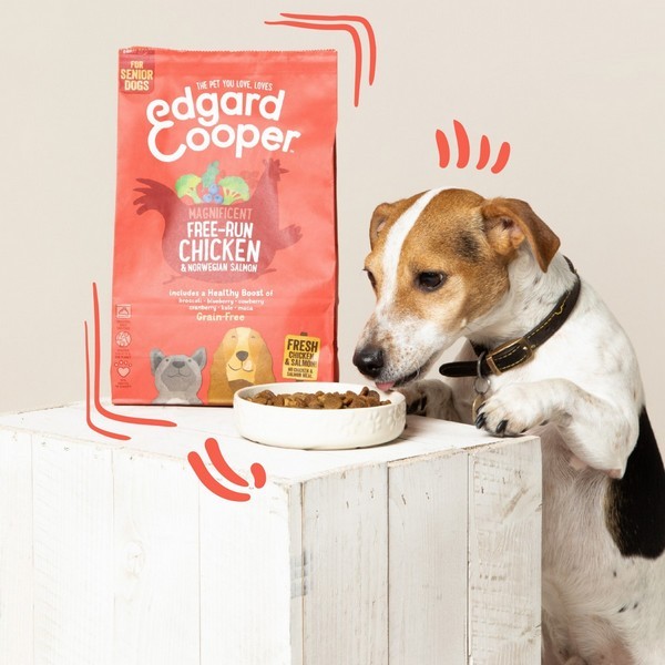 Edgard & Cooper Poulet Frais Élevé En Plein Air & Saumon Norvégien Sans céréales Pour Chien Senior