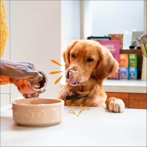 Edgard & Cooper Barquette Poulet & Dinde Pour Chien Adulte