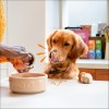 Edgard & Cooper Barquette Poulet & Dinde Pour Chien Adulte