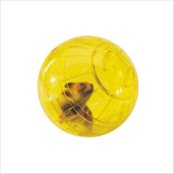 Boule D'Exercice Pour Rongeur Runner