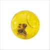 Boule D'Exercice Pour Rongeur Runner