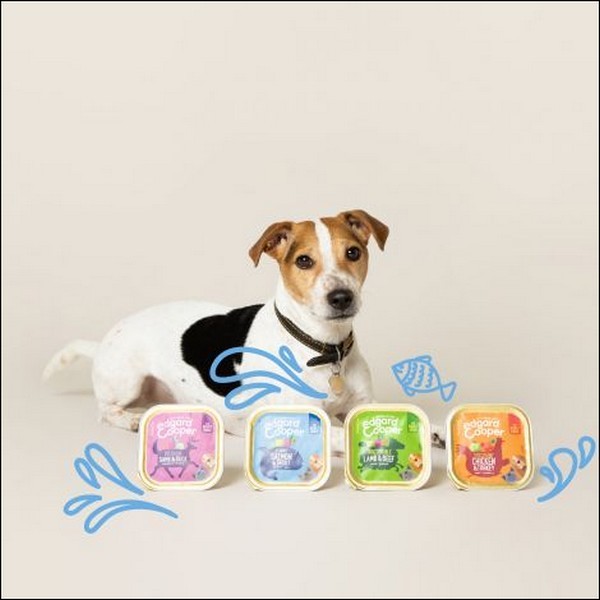 Edgard & Cooper Barquette Saumon & Truite Pour Chien Adulte