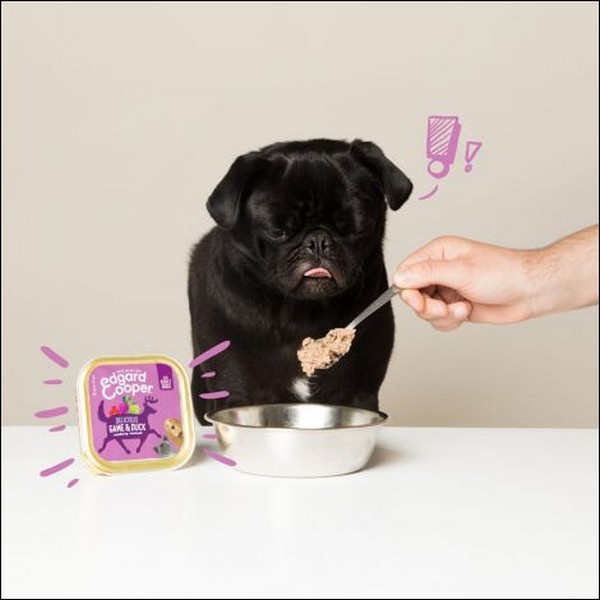 Edgard & Cooper Barquette Gibier & Canard Pour Chien Adulte